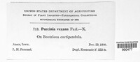 Image Associated With the Occurence